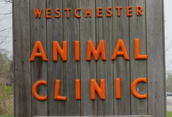 Westchester Animal Clinic Staff