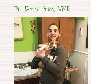 Dr.Fried