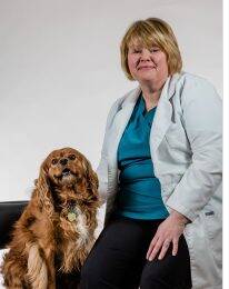 Northgate Pet Clinic Doctors