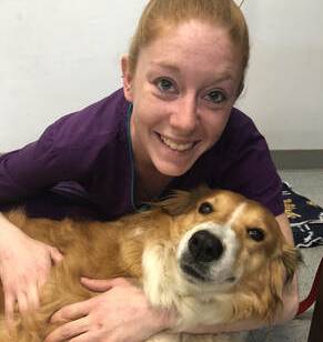 Nashua Pet Care Clinic
