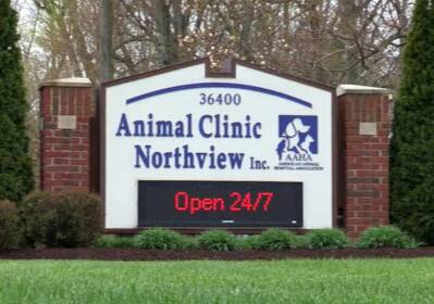 Northview Animal Clinic