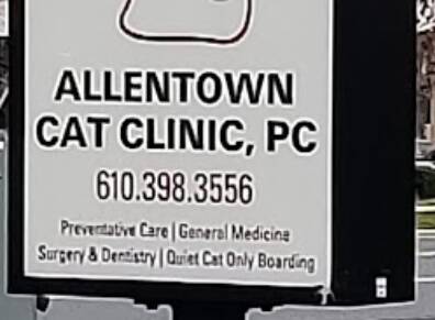 Allentown Cat Clinic