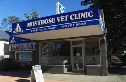 Montrose Veterinary Clinic Houston