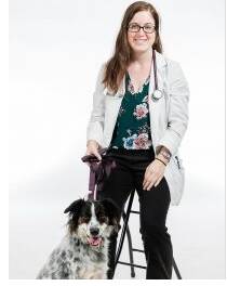 Northgate Pet Clinic Doctors
