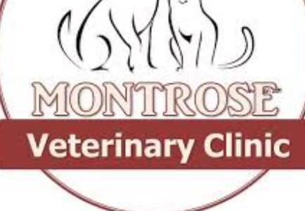 Montrose Veterinary Clinic Houston