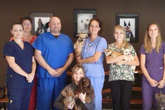 Friendswood Animal Clinic Doctor