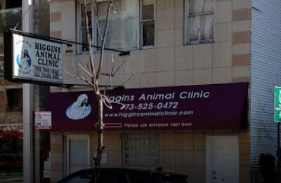 Higgins Animal Clinic Arlington