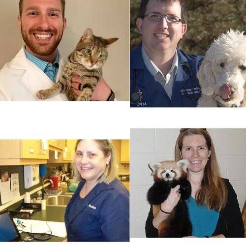 Parkway Veterinary Clinic Doctors