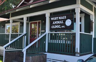 Maui Animal Clinic