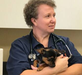 Central Pet Care Doctors