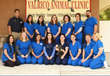 Valrico Animal Clinic Doctors