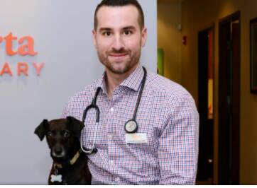 Alberta Veterinary Clinic Doctors 