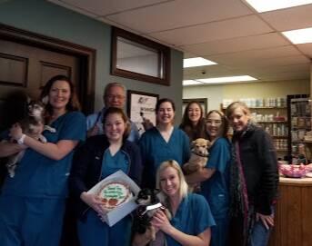 Greenfield Veterinary Clinic Doctors