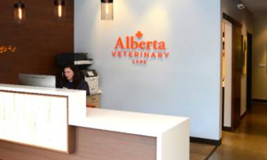 Alberta Veterinary Clinic Portland