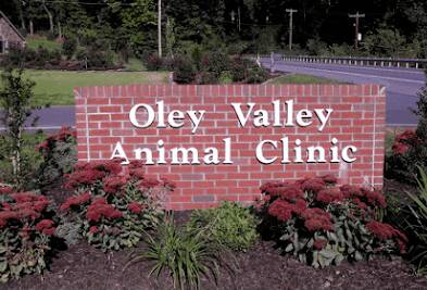 Oley Valley Animal Clinic Address