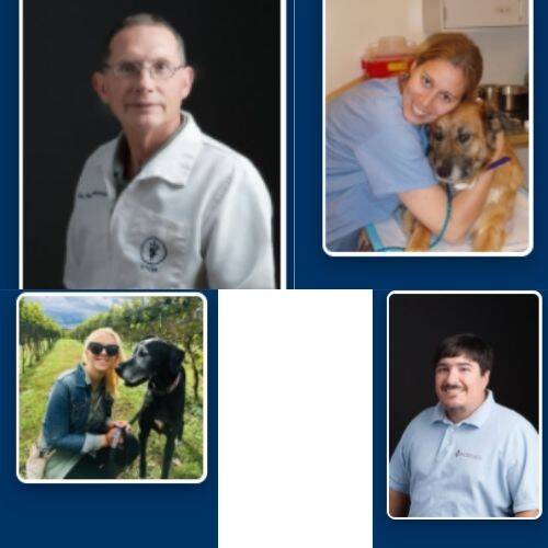 Battlefield Animal Clinic Doctors
