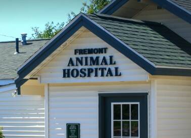 Fremont Animal Hospital Fremont