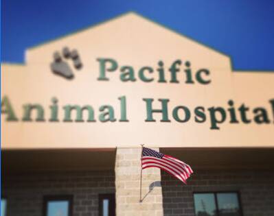 Pacific Animal Hospital Oceanside