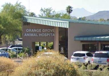 Orange Grove Animal Hospital