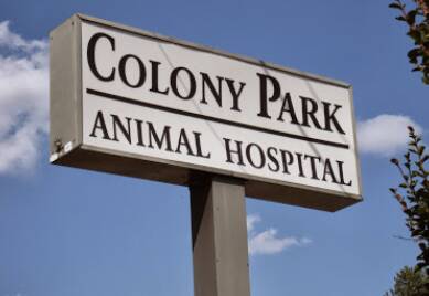 Colony Park Animal Hospital