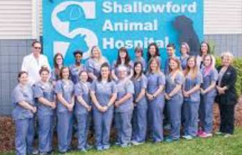 Shallowford Animal Hospital