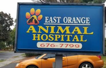 East Orange Animal Hospital