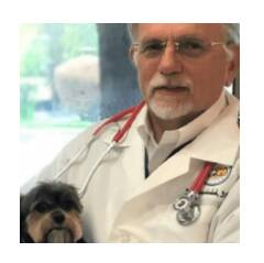 Touhy Animal Hospital Doctors