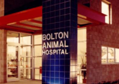 Bolton Animal Hospital Albuquerque