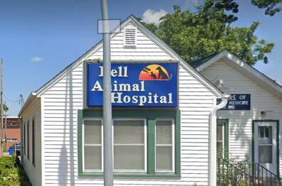 Bell Animal Hospital Belleville