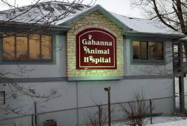 Gahanna Animal Hospital