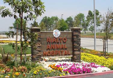 Rialto Animal Hospital Hours