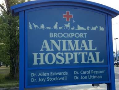 Brockport Animal Hospital Services