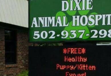Dixie Animal Hospital