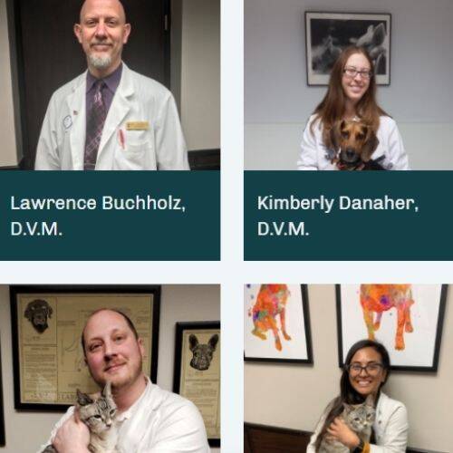 Jersey City Animal Hospital Doctors