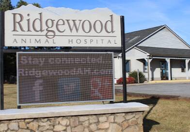 Ridgewood Animal Hospital