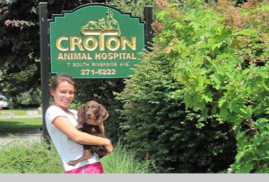 Croton Animal Hospital