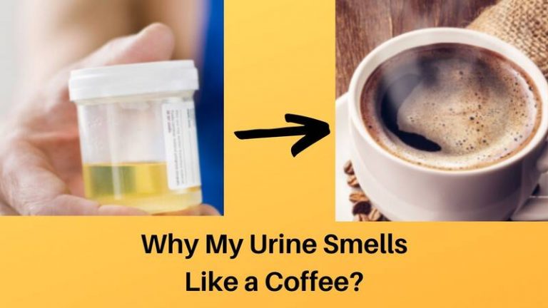 Urine Smells Like Coffee