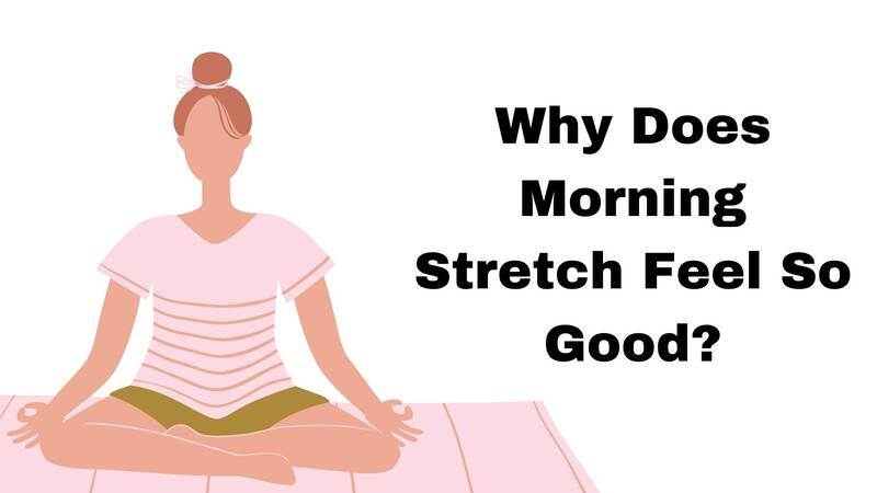 Why Does Morning Stretch Feel So Good