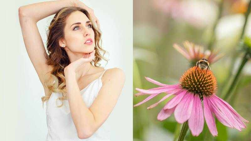 Echinacea Benefits For  Skin 