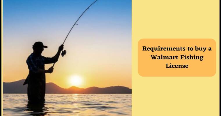Does Walmart Sell Fishing Licenses (Requirments)
