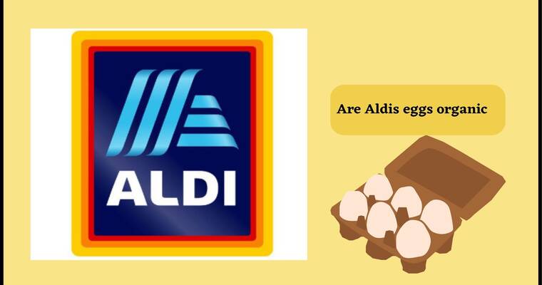 Where Do Aldi Eggs Come From