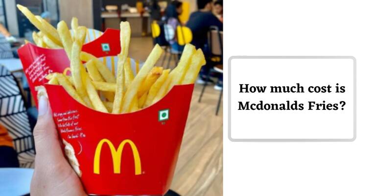 Does Mcdonalds Sell Fries In The Morning2 (Cost)