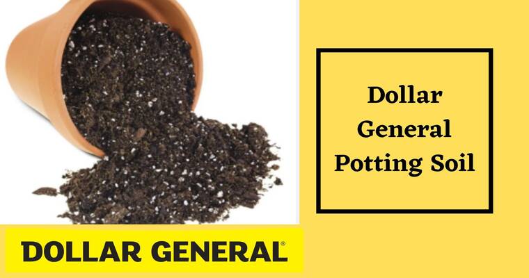 Dollar General Potting Soil