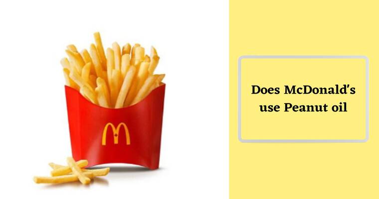 Mcdonalds Oil For Fries (Use Peanut Oil or not)