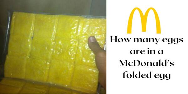 Mcdonalds Folded Egg