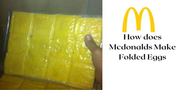 Mcdonalds Folded Egg
