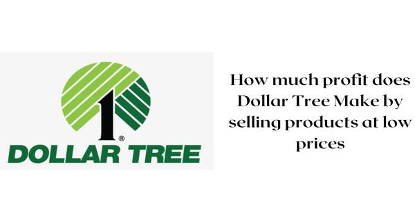 Why Is Dollar Tree So Cheap (Profit Marjin)