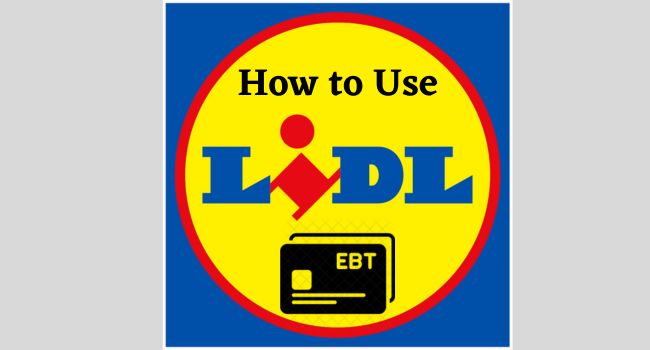 Does Lidl Take EBT (Using Process)