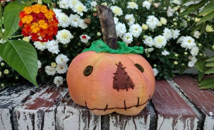 Pumpkin Lantanas for Halloween decoration