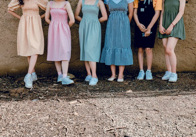 North Italia Dress Code for Skirts